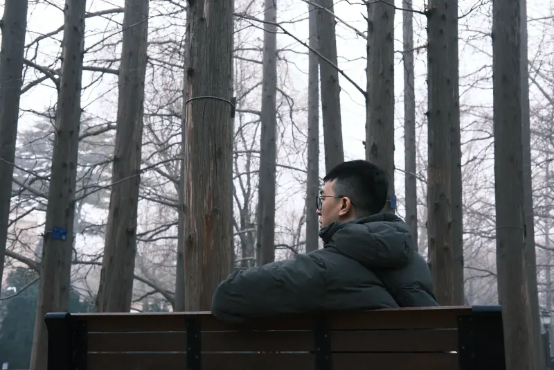 戴眼镜的人坐在树林长椅上
